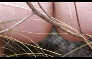 XXX व्हिडिओ, स्त्री पुरुष समागम विशाल स्तन