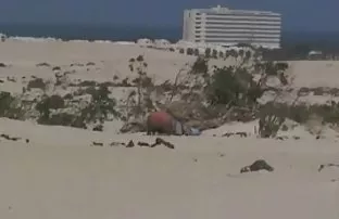 XXX घरगुती गुदद्वारासंबंधीचा लिंग रशियन दोन