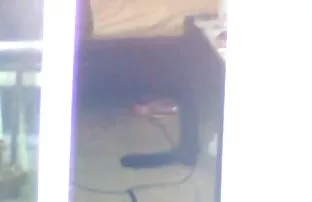 XXX निर्घृण बलात्कार यंगस्टर्स वूड्स मध्ये