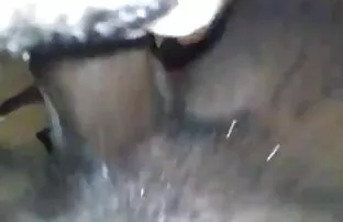 XXX गोड दाट तपकिरी रंगाचे केस carrot प्रचंड गांड नितंब